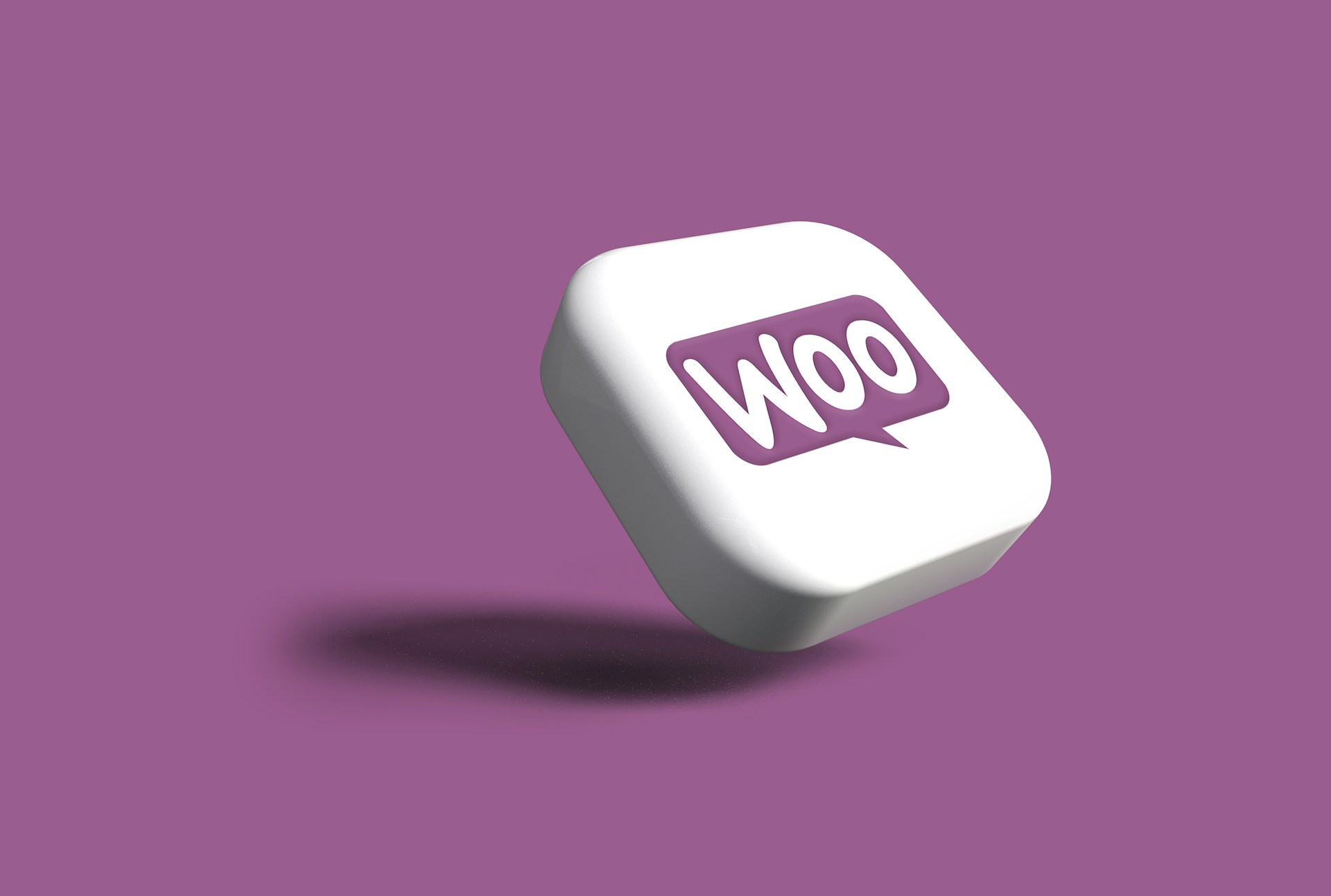 WooCommerce webshops